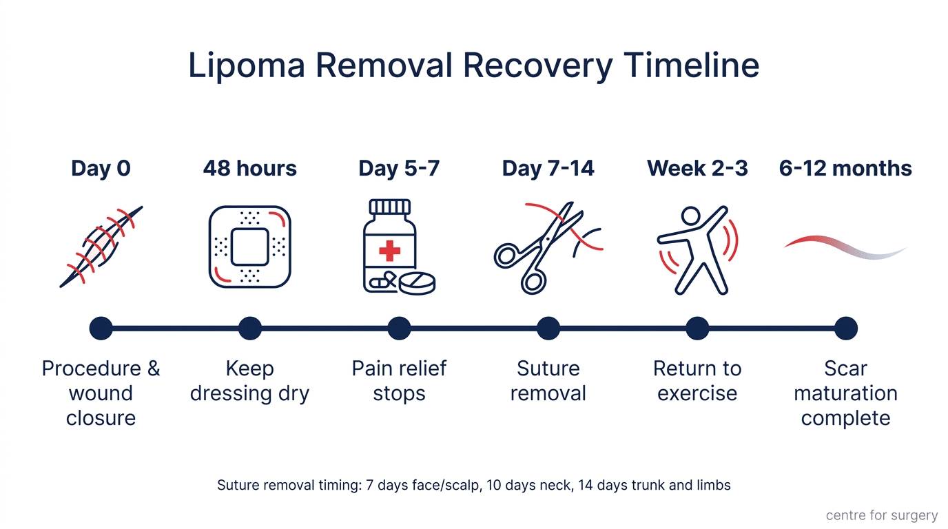 Lipoma removal recovery timeline diagram showing milestones from day 0 through to scar maturation at 6 to 12 months — Centre for Surgery London