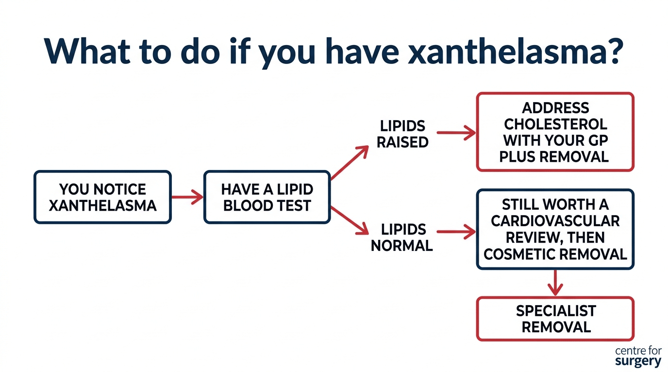 Decision guide showing what to do after noticing xanthelasma: lipid blood test, then GP cholesterol management or cardiovascular review, then removal